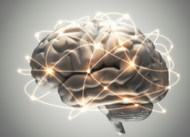 neuroscience of mindfulness